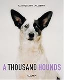  : A Thousand Hounds (Taschen specials)