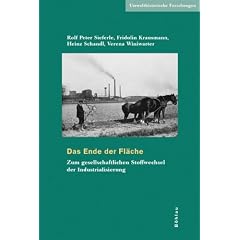 Das Ende der Fl�che: Zum gesellschaftlichen Stoffwechsel der Industrialisierung