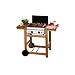 Campingaz 203498 Gasgrill Adela�de� 2 Woody