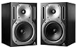 Behringer  B2030P Ultra-Linear Reference Studio Monitor.