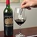 Kitchen & Housewares : Clef du Vin Pocket Wine Tasting Tool (Brushed Steel