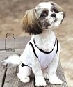 White/Black Dog Tanktop for Pets, Medium