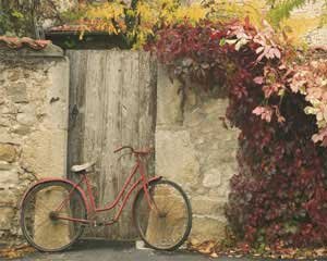 Red Bike Near Door, Art Poster by Francisco Fernandez