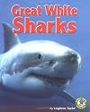 Great White Sharks (Early Bird Nature Books)