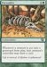 Fecundity Foil