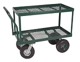 Astonica 2-Tier Garden Push Cart