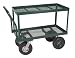 Astonica 2-Tier Garden Push Cart