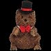TY Beanie Baby - PUNXSUTAWNEY PHIL 2006 the Groundhog (Chamber of Commerce Exclusive)