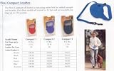Flexi Compact 3 Blue