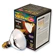 TREX ACTIVE UV HEAT 100W FLOOD