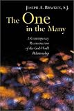  : The One in the Many: A Contemporary Reconstruction of the God-World Relationship