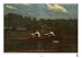 Biglin Brothers Racing by Thomas Eakins. Size 26.39 inches width by 17.81 inches height. High Quality Art Poster Print