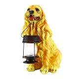 Cocker Spaniel Dog With Solar Lantern Light