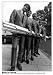 The Beach Boys Surfing HUGE LAMINATED Rock Poster