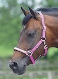 picture of Cottage Craft Dotty Padded Headcollar