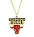 Chicago Bulls - NBA Logo Pendant Necklace