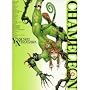 Chameleon: Yasushi Nirasawa