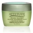 Attitude Line Organic Blueberry Mask, 2 FL.OZ / 60 ML