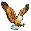 Patch - Eagle