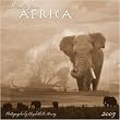 Portraits from Africa 2009 Wall Calendar