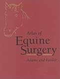 Atlas of Equine Surgery