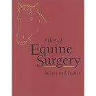 Atlas of Equine Surgery by  Stephen B. Adams and John F. Fessler