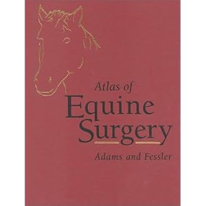 Click here to buy Atlas of Equine Surgery by Stephen B. Adams DVM MS and John F. Fessler DVM MS.