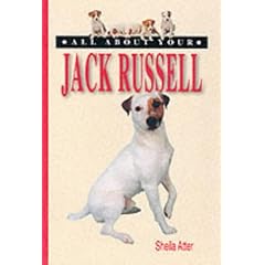 All About Your Jack Russell