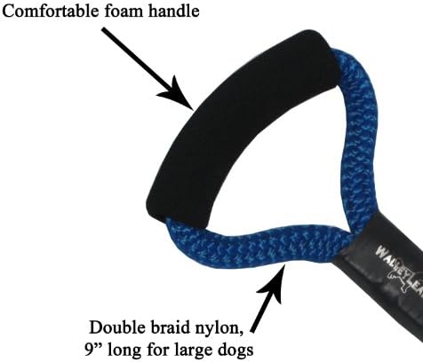 WalleyLead Dog Leash, Size 9, Blue