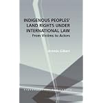 Indigenous Peoples' Land Rights Under International Law: From Victors to Actors book cover