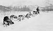 Seward to Susitna, Alaska, Mail Team, ca. 1915 Photograph - Beautiful 16"x20" Photographic Print from the Library of Congress Collection