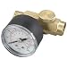 IIT Air Regulator With Gauge - 1/4in. Fitting, 160 PSI