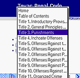 Texas Penal Code 2004 downloadable Software