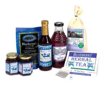 Blueberry Beginings by The Blueberry Store