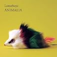 Animalia
