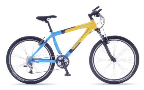 Buy Renault Team Spirit 55Cm online at Discounted New and Used prices. Delivered to your door with Childrens Toyshop.com