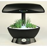 AeroGarden Garden Starter System - For SpaceSaver 6 AeroGardens