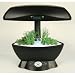 AeroGarden Garden Starter System - For SpaceSaver 6 AeroGardens