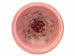 Habersham Wax Pottery Bowl, Rose Garden