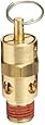 Control Devices ST Series Brass ASME Safety Valve, 60 psi Set Pressure, 1/4" Male NPT