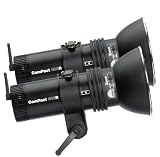 Profoto 502-342 Compact 300R Value Pack (Black)