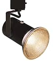 Lightolier&trade; Black Mini Universal Track Bullet Light