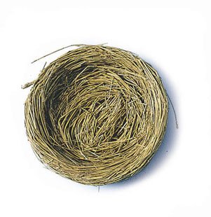 Package of 12 Natural 2-1/4