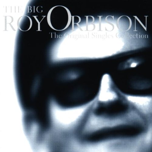 Roy Orbison - Summersong Lyrics - Zortam Music