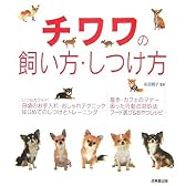 チワワの飼い方・しつけ方