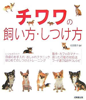 チワワの飼い方・しつけ方