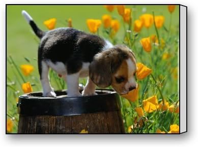 ArtShop Gallery Wrapped Cute Beagle Puppy Playing With Flower Custom Modern Art Painting Wall Decor Canvas Print