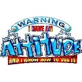 Have An Attitude Funny Adult T-Shirt