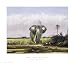 Michael Coleman - On The Nunga Size 27x32 Poster Print