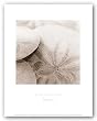 Atlantis 2 by Alan Blaustein 8"x8" Art Print Poster